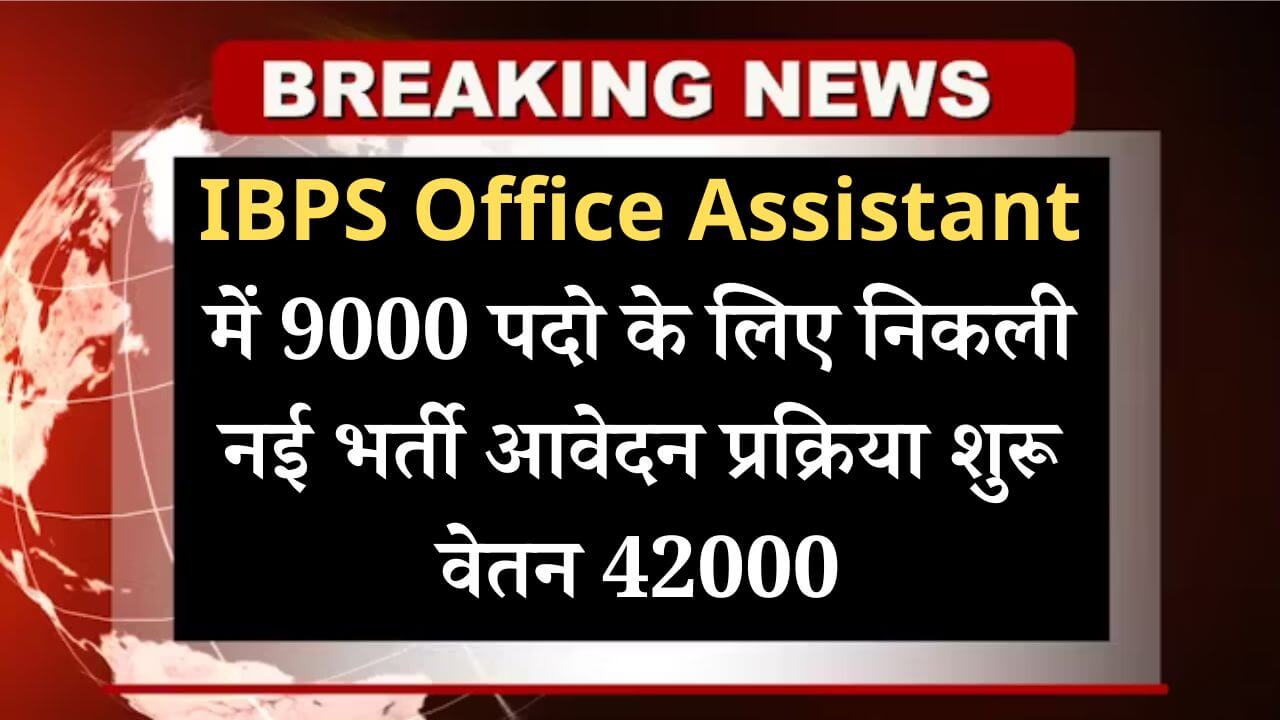 IBPS Office Assistant 9k Recruitments